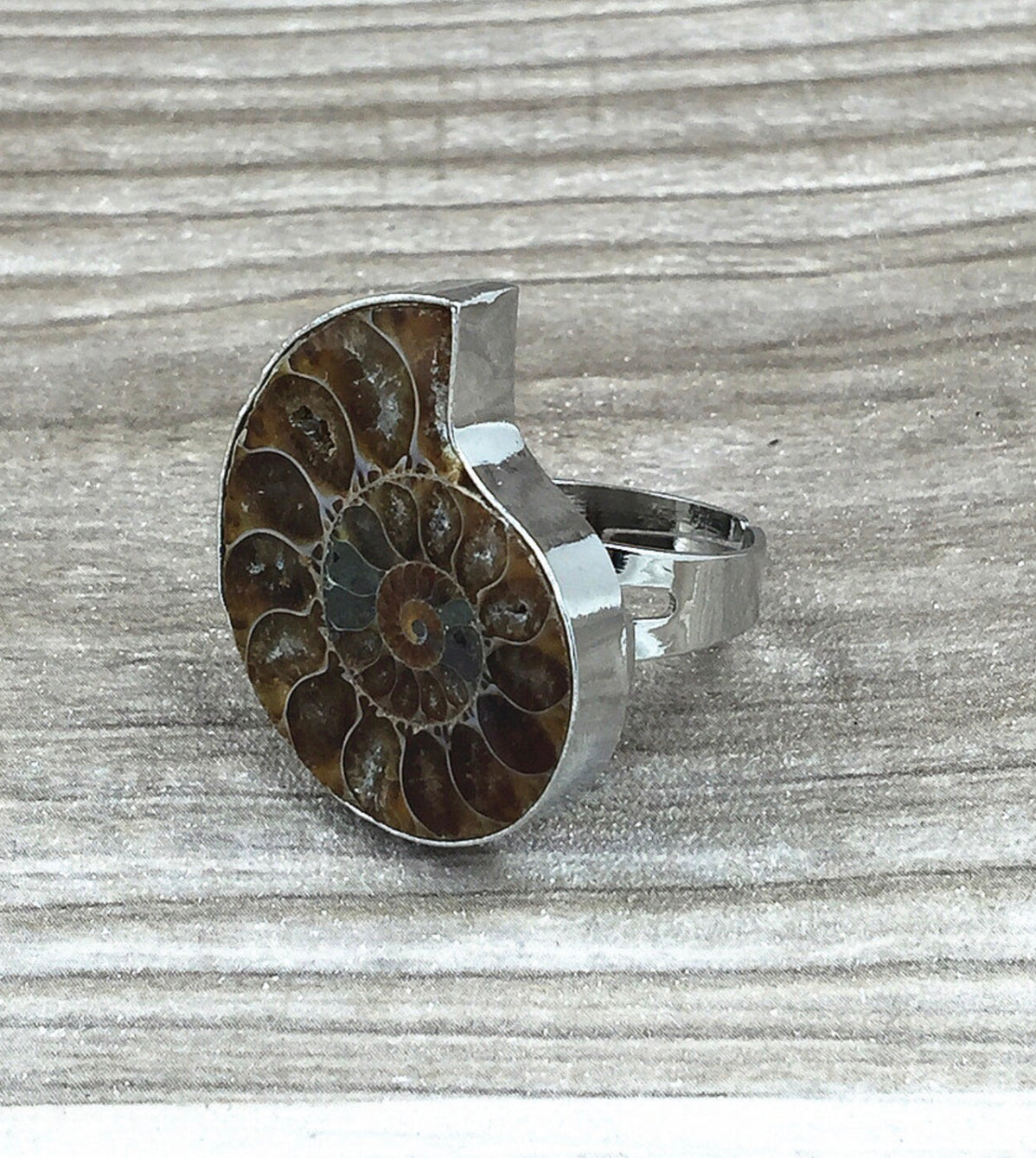Erika Williner Designs - Ammonite Fossil Ring