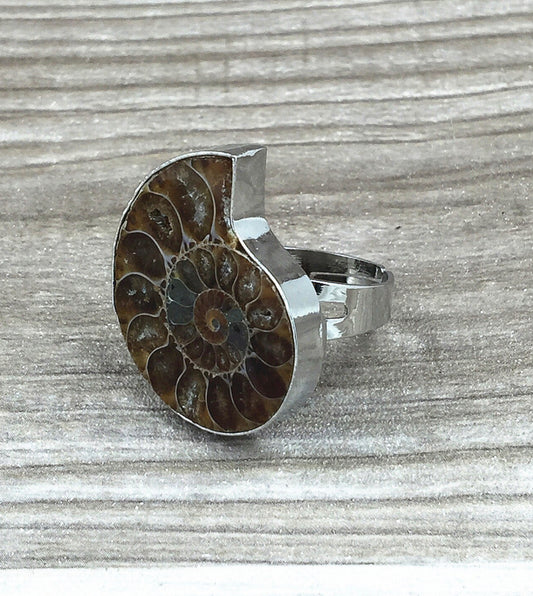 Ammonite Fossil Ring 100-1 | Erika Williner Designs