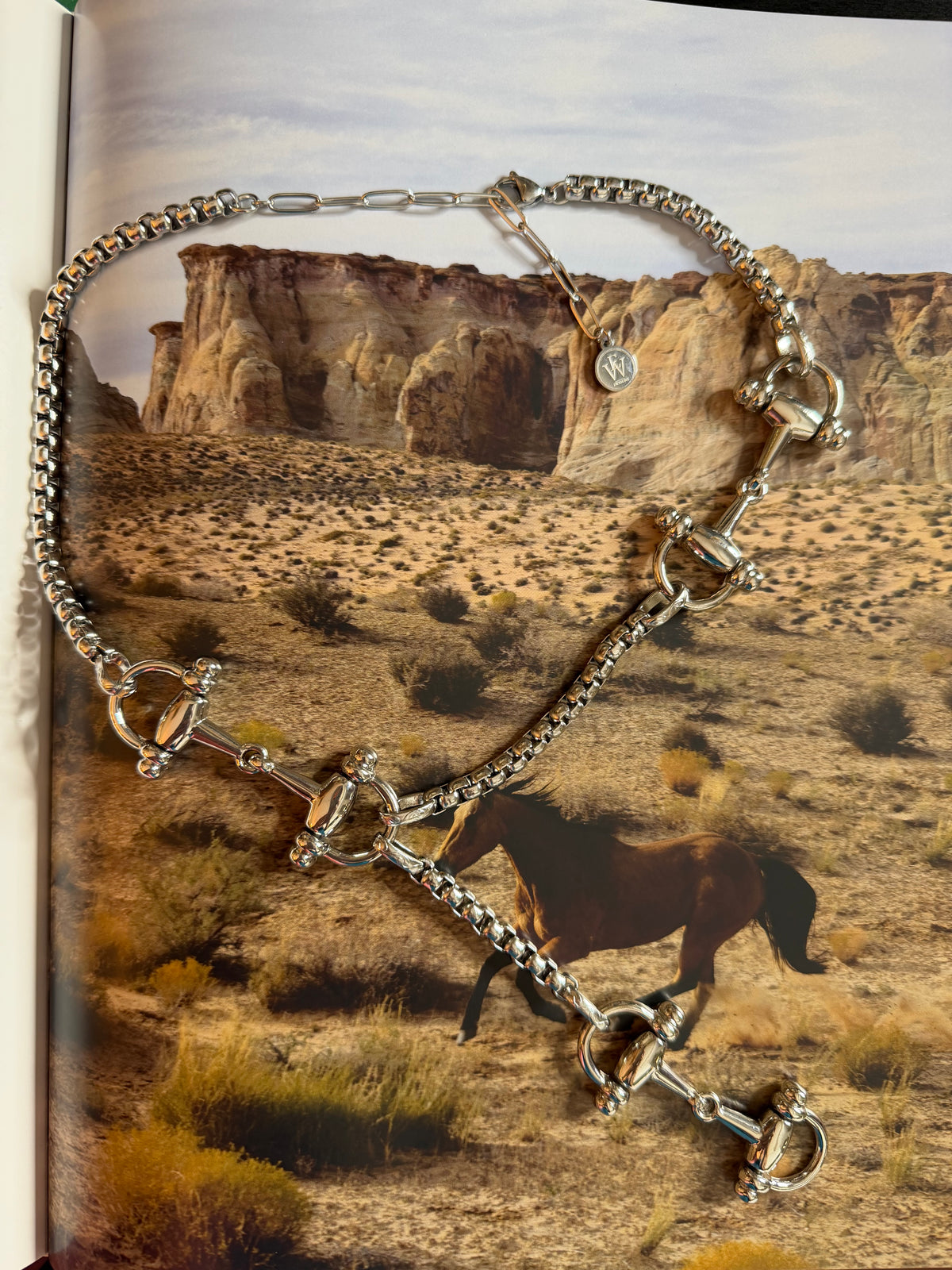 Rosary Style Equestrian Bit in Rolly Chain Necklace | Erika Williner Designs