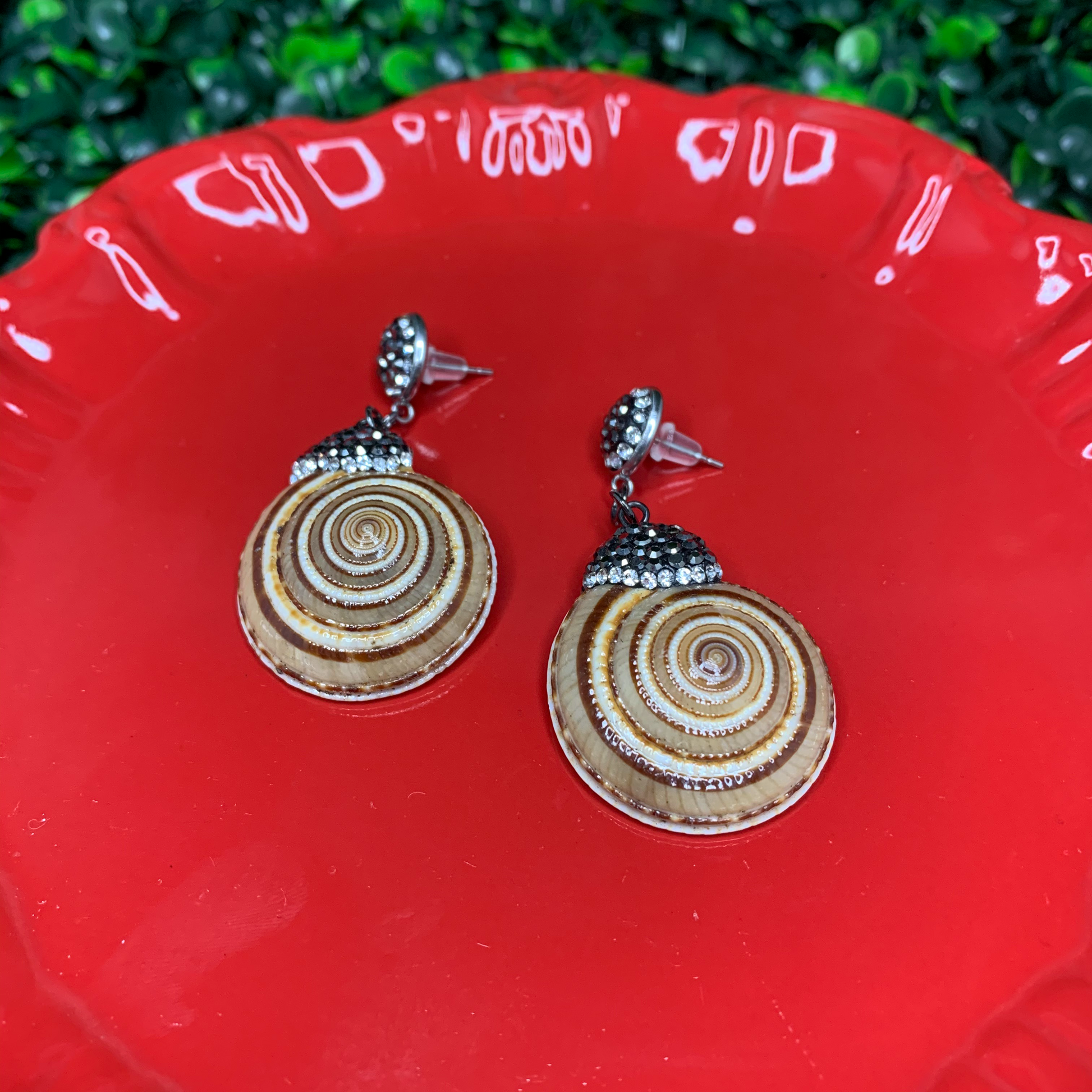 Unique Shell Earrings