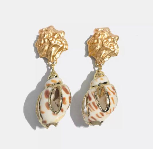 Real Shells with Gold Electroplating set on Gold Earrings