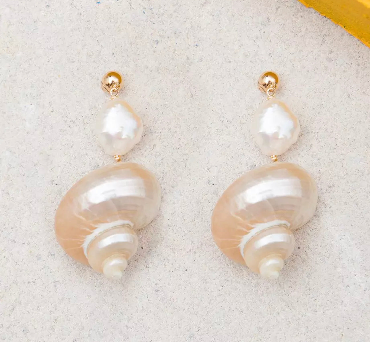 front view of shell earrings